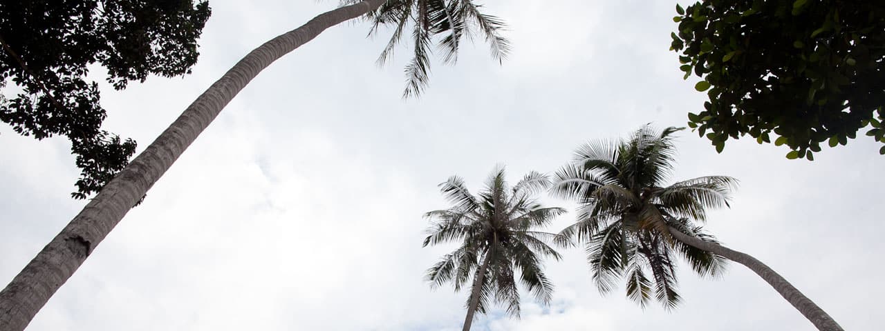 bnn-about-pulau-perhentian-3