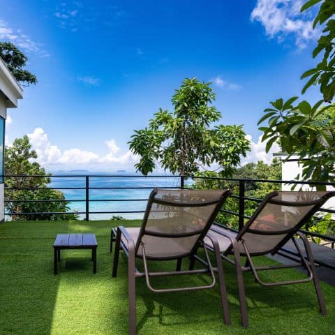 20240925-Alunan-293-sq