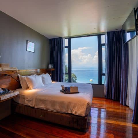 20240925-Alunan-294-sq